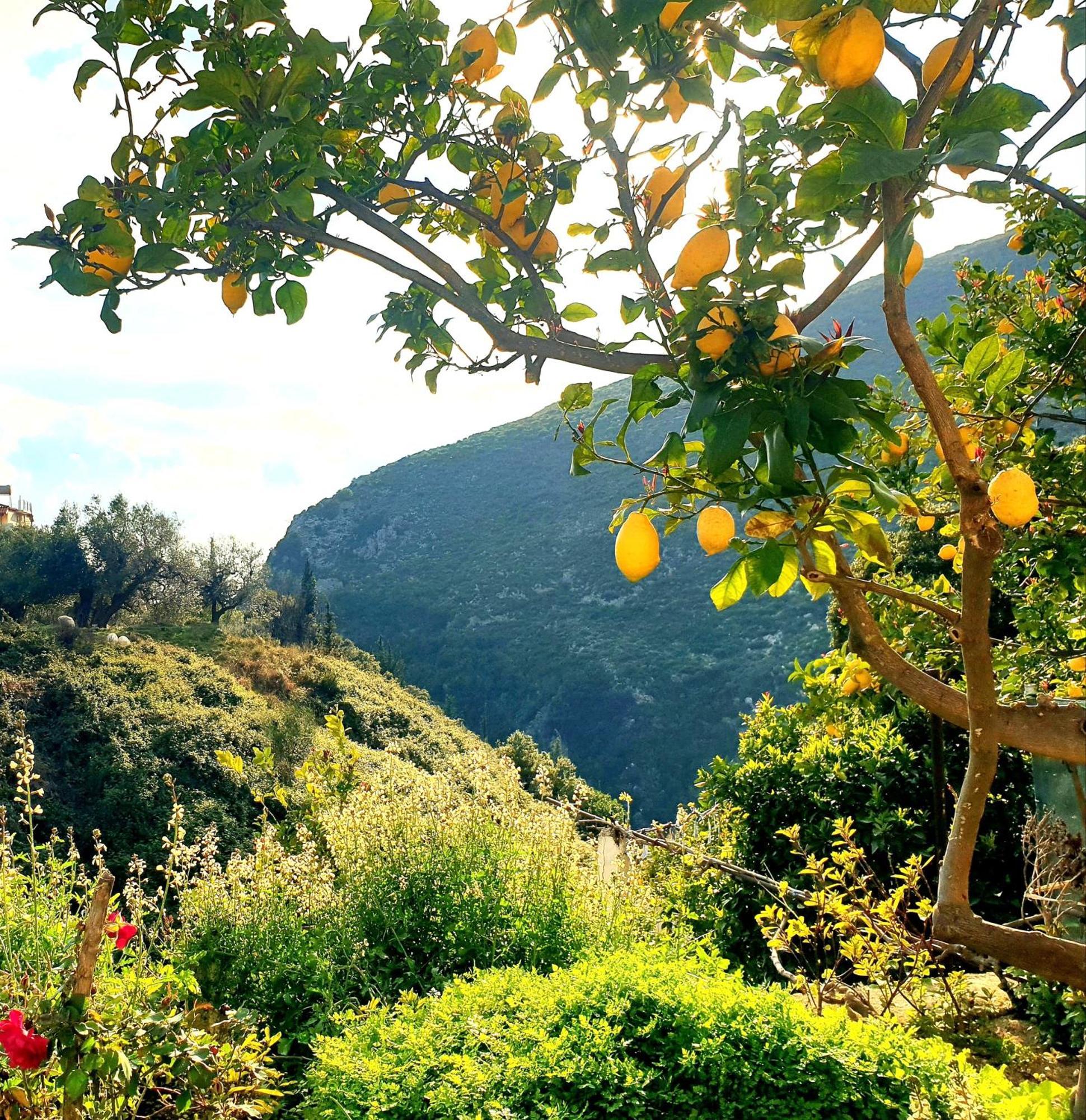 Philoxenia Guest House Himare Exterior foto